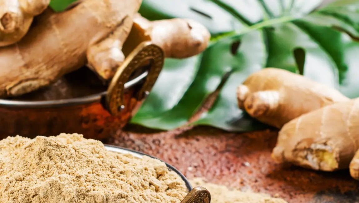 Fresh ginger root and ginger powder used for nutrition and recovery at CrossFit Rush